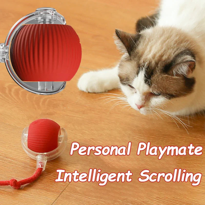 Smart Play Interactive Cat Ball