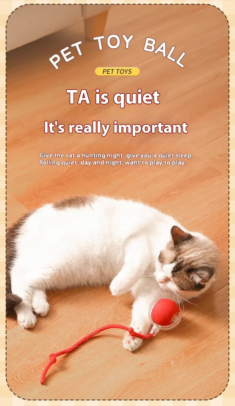 Smart Play Interactive Cat Ball