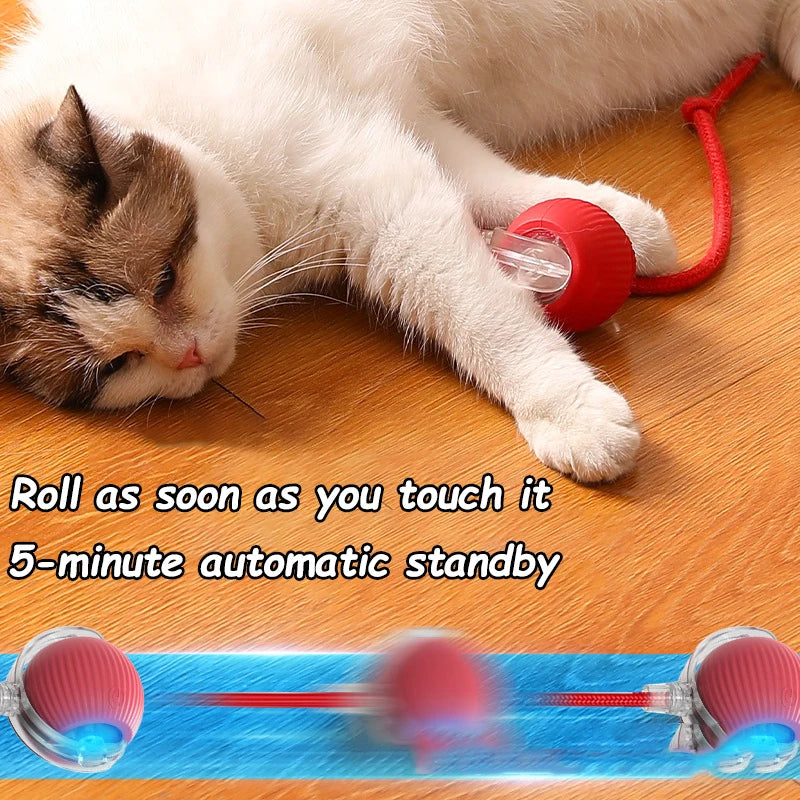 Smart Play Interactive Cat Ball