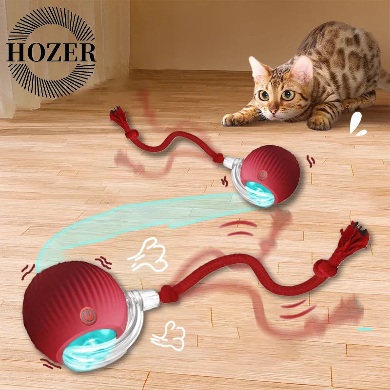Smart Play Interactive Cat Ball