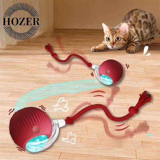 Smart Play Interactive Cat Ball