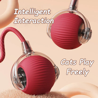 Smart Play Interactive Cat Ball