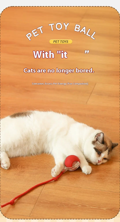 Smart Play Interactive Cat Ball
