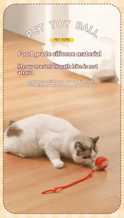 Smart Play Interactive Cat Ball
