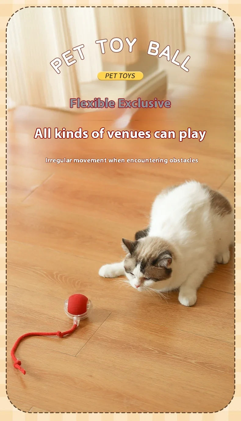 Smart Play Interactive Cat Ball