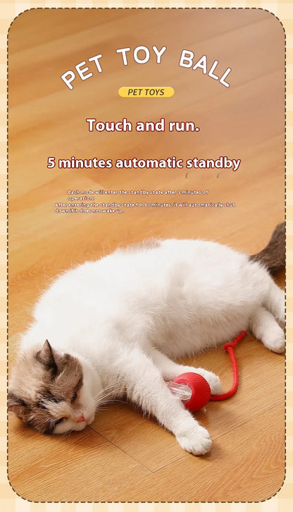 Smart Play Interactive Cat Ball